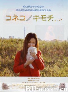 小猫的感觉-720p|1080p高清bt种子下载