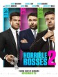 恶老板2/老板不是人2(台)/Horrible Bosses 2