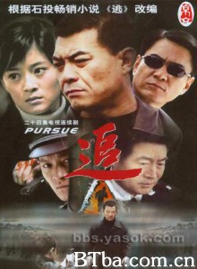 追 Pursue (2007)  BT磁力 迅雷网盘下载