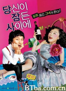 我的酒鬼女友 在你睡着的时候 在你熟睡的时候 (2008)  BT磁力 迅雷网盘下载
