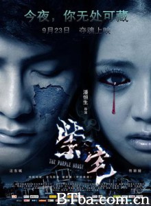 紫宅 (2011)  BT磁力 迅雷网盘下载