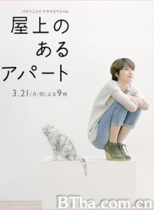 屋顶的公寓 有屋顶平台的公寓 (2011)  BT磁力 迅雷网盘下载