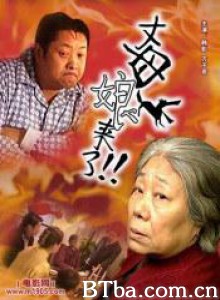 丈母娘来了 (2002)  BT磁力 迅雷网盘下载