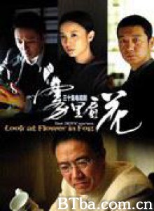 雾里看花 Look at Flower in Fog (1970)  BT磁力 迅雷网盘下载