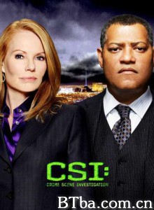 犯罪现场调查第十一季 犯罪现场：拉斯维加斯 第十一季 CSI犯罪现场(台) 第十一季 (2010)  BT磁力 迅雷网盘下载