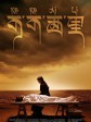 可可西里/Kekexili: Mountain Patrol