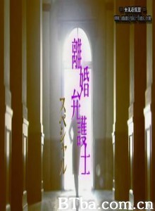 離婚弁護士新春スペシャル 离婚女律师 sp (2005)  BT磁力 迅雷网盘下载