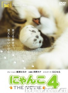 猫咪物语4 (2010)  BT磁力 迅雷网盘下载
