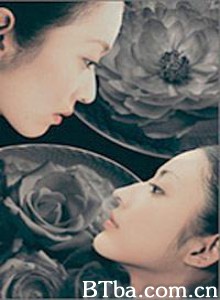 牡丹与玫瑰 (2004)  BT磁力 迅雷网盘下载