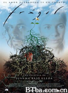 易碎 (2005)  BT磁力 迅雷网盘下载