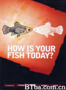 今天的鱼怎么样？/How Is Your Fish Today?-720p|1080p高清bt种子下载