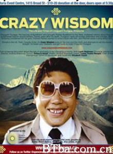 疯智 (2009)  BT磁力 迅雷网盘下载