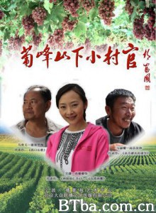 葡峰山下小村官 (2013)  BT磁力 迅雷网盘下载