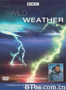 气象大观 天有风云 (2002)  BT磁力 迅雷网盘下载