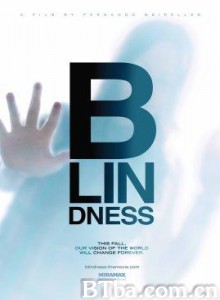 盲流感 失明症漫记 (2008) 1080P/720P BT磁力 迅雷网盘下载
