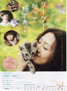 咕咕是一只猫 猫咪咕咕(港) 猫猫向前冲(台) (2008) 1080P/720P BT磁力 迅雷网盘下载