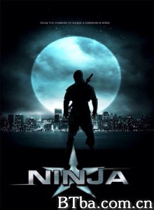 纽约行动 忍者 New York Assassination (2012) 1080P/720P BT磁力 迅雷网盘下载