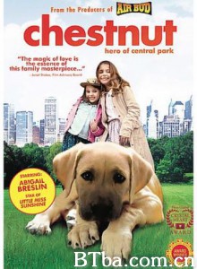 切斯纳特：中央公园的英雄 (2004)  BT磁力 迅雷网盘下载