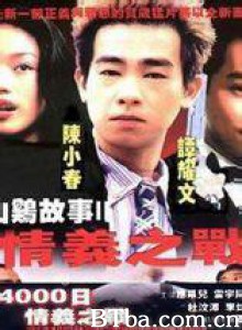 情义之战 (2002)  BT磁力 迅雷网盘下载