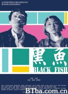 黑鱼 (2012)  BT磁力 迅雷网盘下载