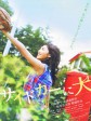 挎斗摩托车里的狗/拖斗车里的狗/路边车的狗