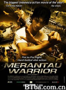 精武战士 街头拳霸(港) 漫步者 (2009)  BT磁力 迅雷网盘下载