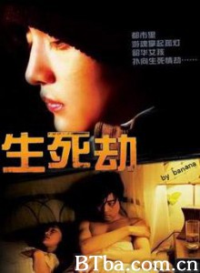 生死劫 Stolen Life (2005)  BT磁力 迅雷网盘下载