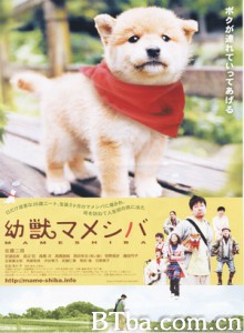豆柴小犬 寻母三千里 (2009)  BT磁力 迅雷网盘下载