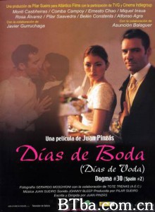 婚礼日 Wedding Days Días de boda(dubbed version) (2002)  BT磁力 迅雷网盘下载