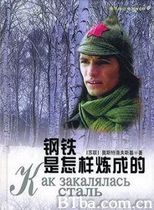 钢铁是怎样炼成的 How the Steel Was Tempered Как закалялась сталь (2000)  BT磁力 迅雷网盘下载