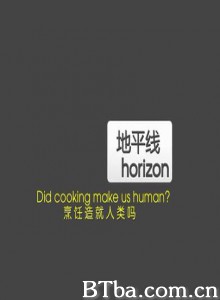 地平线系列：烹饪造就人类吗 Did the discovery of cooking make us human? (2010)  BT磁力 迅雷网盘下载