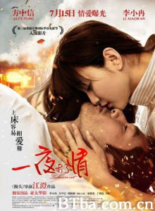 一夜未了情 爱·不爱 To Love or Not (2011) 720P BT磁力 迅雷网盘下载