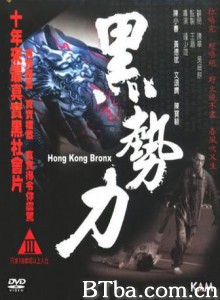 再见古惑仔 Hong Kong Bronx (2008)  BT磁力 迅雷网盘下载