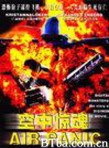 空中惊魂 惊爆911 (2002)  BT磁力 迅雷网盘下载