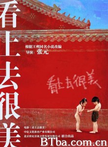 看上去很美 小红花 Little Red Flowers (2006)  BT磁力 迅雷网盘下载