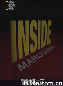 透视内幕：大麻/国家地理 透视内幕：大麻