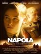 希特勒的男孩/英雄教育/纳粹军校/Napola Before The Fall