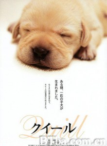 导盲犬小Q 再见了！可鲁 Quill (2004)  BT磁力 迅雷网盘下载