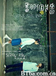翻个墙 (2011)  BT磁力 迅雷网盘下载