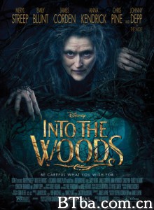 魔法黑森林 拜访森林 走进森林 Into the Woods (2014) 1080P/720P BT磁力 迅雷网盘下载