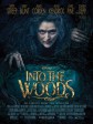 魔法黑森林/拜访森林/走进森林/Into the Woods