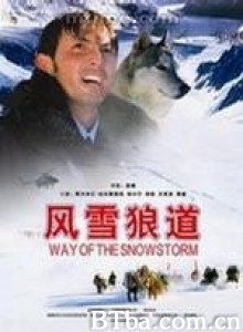 风雪狼道 Way Of The Snowstorm (2007)  BT磁力 迅雷网盘下载