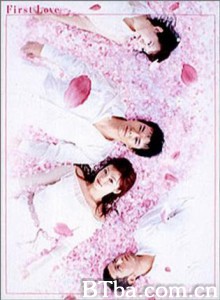 初恋 (2002)  BT磁力 迅雷网盘下载