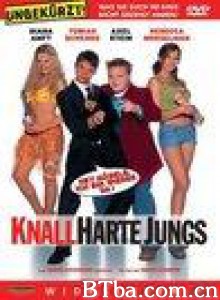 我的宝贝会说话2 Knallharte Jungs (2002)  BT磁力 迅雷网盘下载