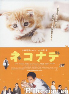 小猫奇缘 心动奇迹：咪咪知音 心动奇迹2 (2008)  BT磁力 迅雷网盘下载