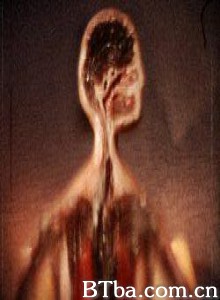 半边人 (2006)  BT磁力 迅雷网盘下载
