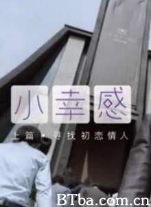 小幸感 小幸感(上)：寻找初恋情人 小幸感(下)：婚前33天 (2012)  BT磁力 迅雷网盘下载