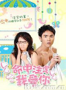命中注定我爱你 便利贴女孩 Fated to Love You (2008)  BT磁力 迅雷网盘下载