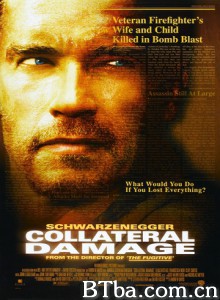 间接伤害 直击要害 (2002)  BT磁力 迅雷网盘下载