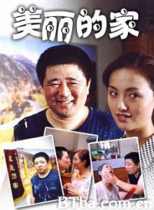 美丽的家 贫嘴张大民的幸福生活之美丽的家 (1970)  BT磁力 迅雷网盘下载